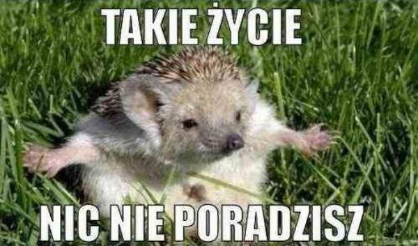 Takie życie nic nie poradzisz