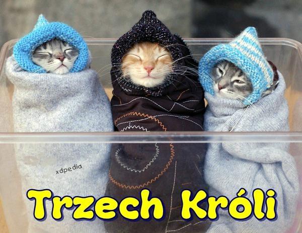 Trzech króli