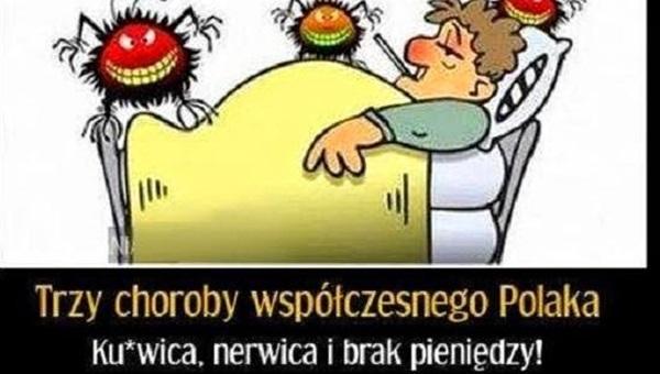 Trzy chore współczesnego polaka
ku.wica, nerwica i brak pieniędzy!