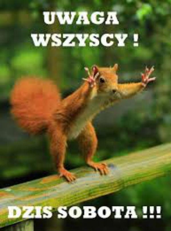 Uwaga wszyscy
dziś sobota!!!