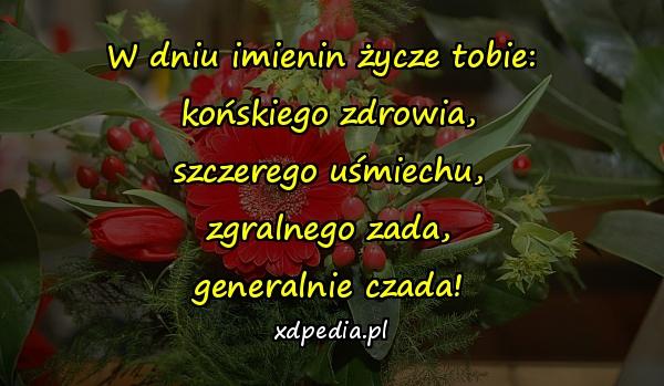 W dniu imienin życze tobie: 
końskiego zdrowia,
szczerego uśmiechu,
zgralnego zada,
generalnie czada!