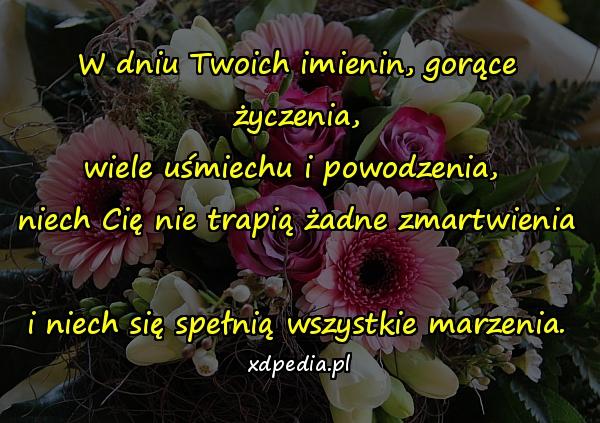 W dniu Twoich imienin, gorące życzenia,
wiele uśmiechu i powodzenia, 
niech Cię nie trapią żadne zmartwienia 
i niech się spełnią wszystkie marzenia.