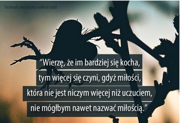 Wiesz że im bardzo się kocha
tym więcej się czyni gdyż miłość
ktora nie jest niczym wiecej niz uczuciem
nie moglabym nawet nazwac miloscia