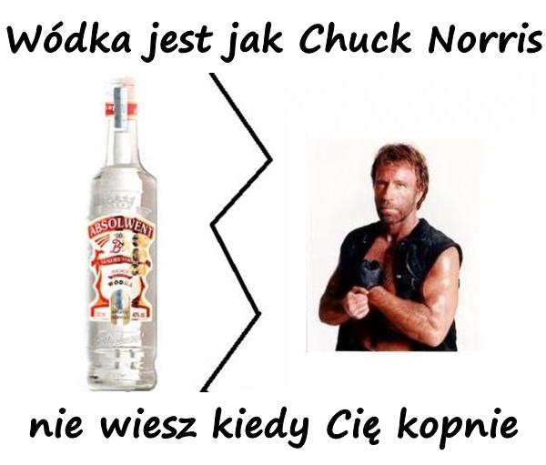 Wódka jest jak Chuck Norris nie wiesz kiedy Cię kopnie