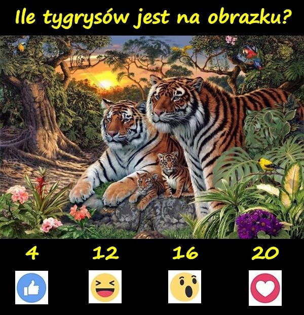 Ile tygrysów jest na obrazku?