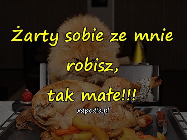 Żarty sobie ze mnie robisz,
tak małe!!!