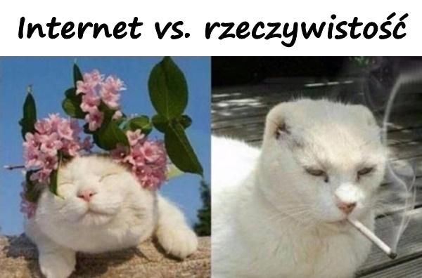 Zdjęcie - Internet vs. rzeczywistość