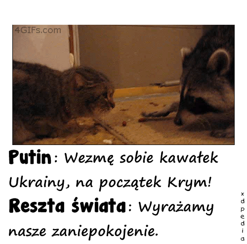 putin_vs_reszta_swiata_5926.gif